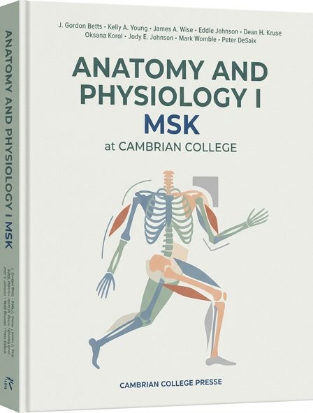 Anatomy and Physiology I MSK at Cambrian College