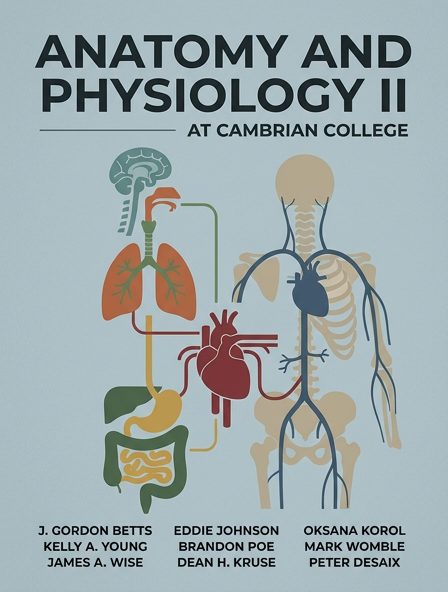 Anatomy and Physiology II at Cambrian College