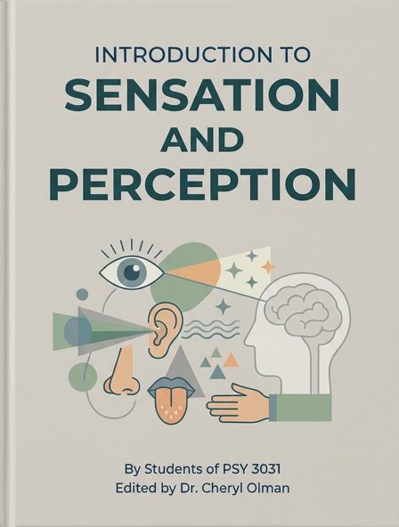 Introduction to Sensation and Perception